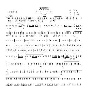 风雨街头_歌曲简谱_词曲:高琛 贺飞