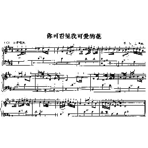 手风琴谱 | 你可看见我可爱的花 爱尔兰民歌