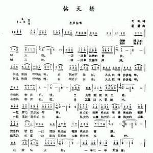钻天杨_民歌简谱_词曲:文跃 田蒲