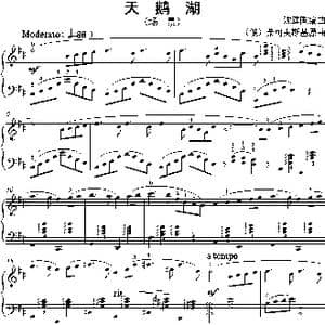 天鹅湖_歌曲简谱_词曲: 沈建国编曲版