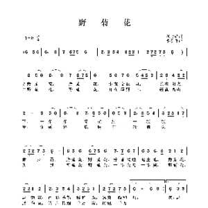 野菊花_歌曲简谱_词曲:魏志强 李嘉评