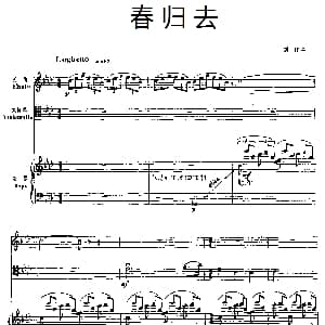 春归去 长笛 大提琴 竖琴三重奏 刘庄