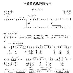 宁静的夜晚,沸腾的心_歌曲简谱_词曲:李川 楚兴元