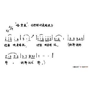 迎面吹来的风_歌谱投稿