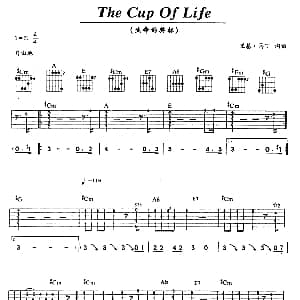 The Cup Of Life 吉他谱 Ricky Martin