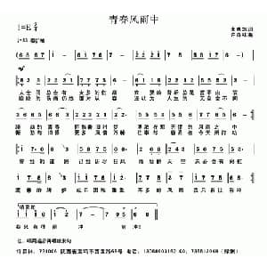 青春风雨中_通俗唱法乐谱_词曲:未央悠 许森林