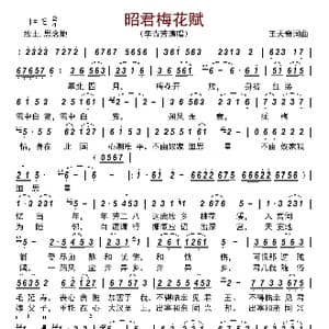 昭君梅花赋_歌曲简谱_词曲:王天奇 王天奇