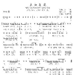 生如夏花 _歌曲简谱_词曲:朴树 朴树