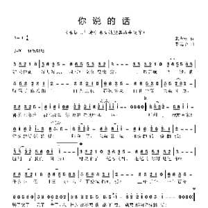 你说的话_歌曲简谱_词曲:宋青松 李亮华