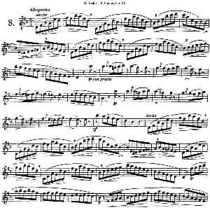 长笛曲谱 | 二十首练习曲作品132号之8 Garibold 加里波第