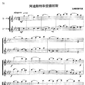 阿迪斯特和菲斐德丽斯 重奏 海姆纽斯