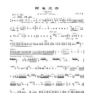 阿曼尼莎_歌曲简谱_词曲: 王丹红作曲