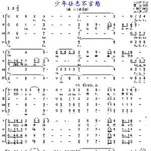 少年壮志不言愁_歌曲简谱_词曲:林汝为 雷 蕾