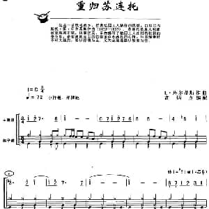 重归苏莲托 架子鼓 主旋律 鼓谱 L 库尔蒂斯作曲 高炳点