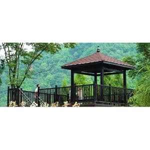 小康生活到农家_歌曲简谱_词曲:赵甫博 赵甫博