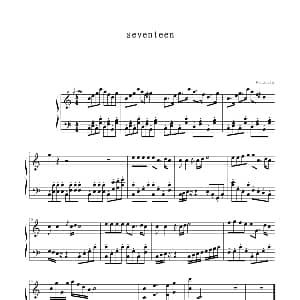 seventeen 钢琴谱 windtsao