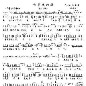 你是我的海_歌谱投稿_词曲:王磊 孟文豪