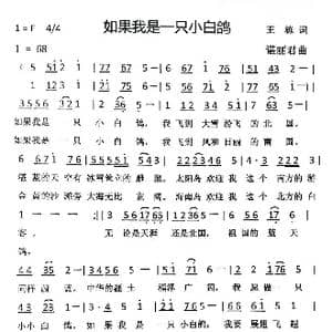 如果我是一只小白鸽_歌谱投稿_词曲:王栋 谌丽君