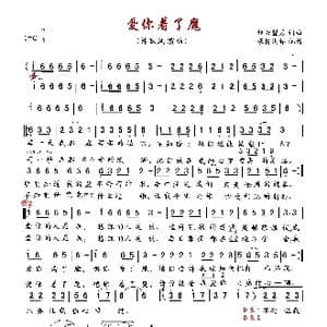 爱你着了魔_歌曲简谱_词曲:轻云望月 轻云望月