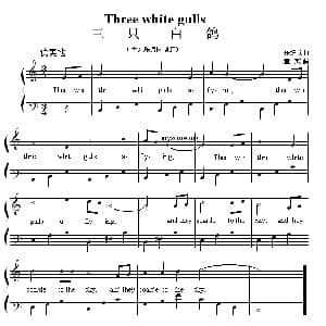 Three white gulls 钢琴谱 董放编曲