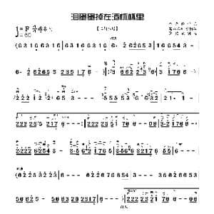 泪蛋蛋掉在酒杯杯里_歌曲简谱_词曲: 李先锋