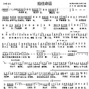 掐住命运_歌曲简谱_词曲:胡金海 胡金海