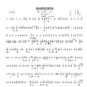 老生居住在南阳地_歌曲简谱