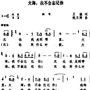 大海,我不会忘记你_美声唱法乐谱_词曲:王健 姚玉卿