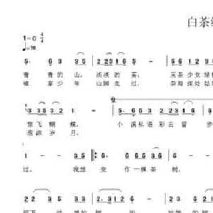 白茶缘_民歌简谱_词曲:罗方勇 韦龙东