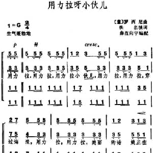 用力拉呀小伙儿 意大利 _外国歌谱_词曲:佚名填词 罗西尼曲 薛范 向宇