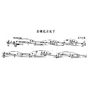 长笛曲谱 | 在银色月光下 王洛宾