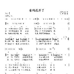 索玛花开了_歌曲简谱_词曲:木帕尔火 向邦瑜