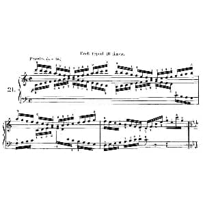 Czerny 40 Daily Exerci Op.337 钢琴谱 Czerny 车尔尼