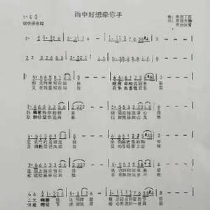雨中好想牵你手 _歌曲简谱_词曲:草原大哈 草原丁喜