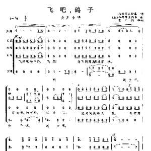 飞吧,鸽子_歌曲简谱