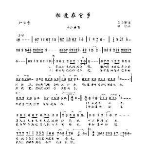 相逢在它乡_歌曲简谱_词曲:唐仓建 歌奴