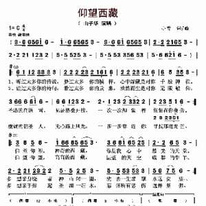 仰望西藏_歌曲简谱_词曲:山子华 小曾