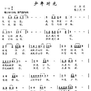 少年时光_儿歌乐谱_词曲:车帅 张小灵