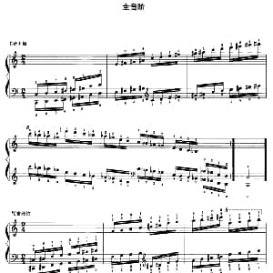 钢琴全音阶练习 钢琴谱 沈琪编著