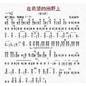 在希望的田野上_歌曲简谱_词曲: 李国林配器
