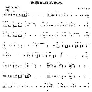 二胡谱 | 像雾像雨又像风