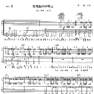 在希望的田野上 吉他谱 青蛙乐队 彭钧 彭钧