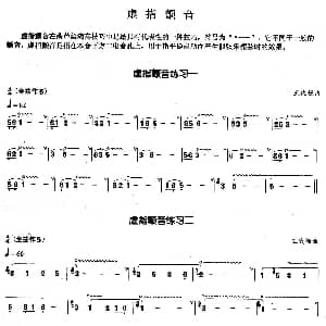 葫芦丝谱 | 葫芦丝基本技巧练习曲 虚指颤音