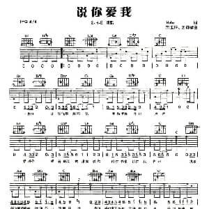 说你爱我 吉他谱 S.H.E