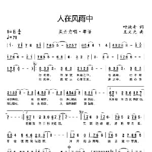人在风雨中_通俗唱法乐谱_词曲:叶焕奇 王文光