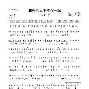 相爱的人不能在一起_歌曲简谱_词曲:赵鑫 赵鑫
