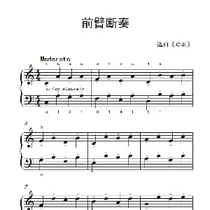前臂断奏 钢琴谱