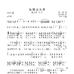 焦桐花儿开_歌曲简谱_词曲:良朋 孟文豪