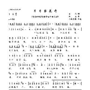 片片梨花开_歌曲简谱_词曲:老九 林立