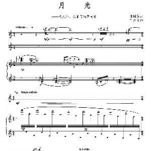长笛曲谱 | 月光 人声 长笛 钢琴 汪国真 丁煜伦